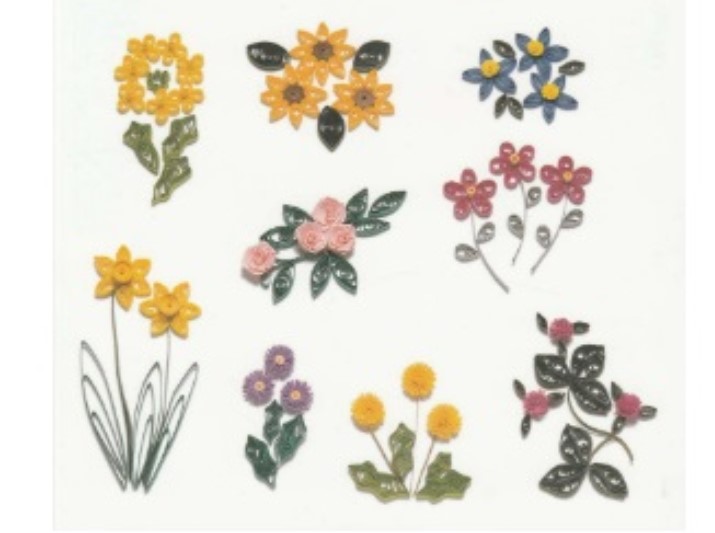 image4 image4